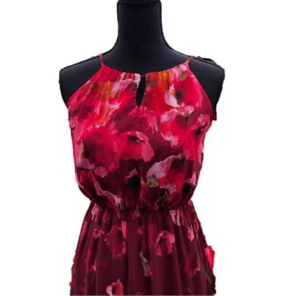 Red Floral Chiffon Maxi Dress - Picture 5 of 8